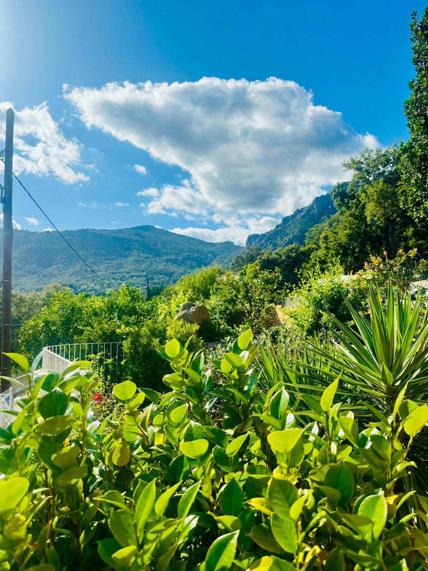Calme Entre Mer, Montagne Et Riviere